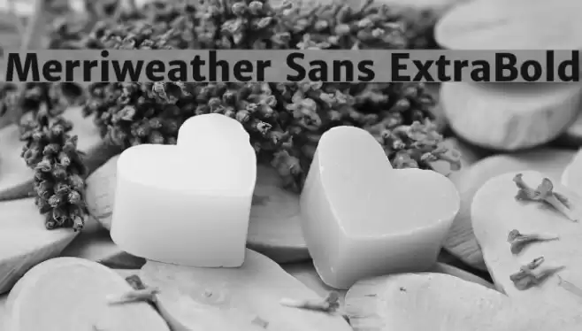 Merriweather Sans ExtraBold Font examples