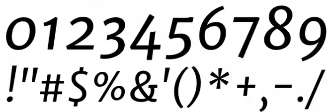 Merriweather Sans Italic Font OTHER CHARS