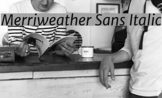 Merriweather Sans Italic Font examples
