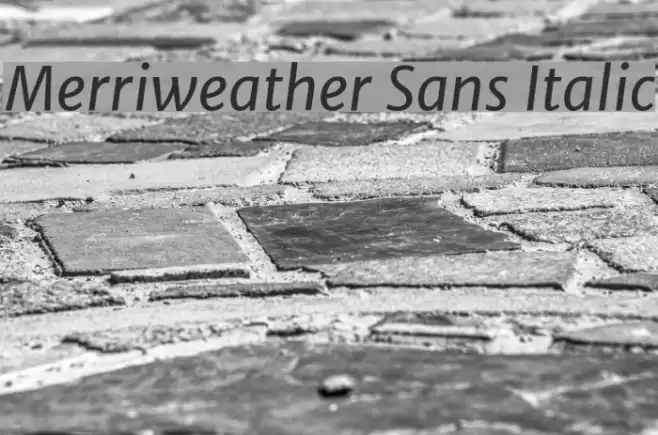 Merriweather Sans Italic Font examples