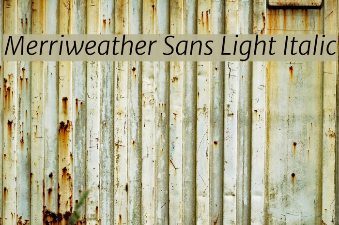 Merriweather Sans Light Italic Font examples