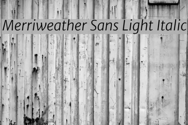 Merriweather Sans Light Italic Example 1
