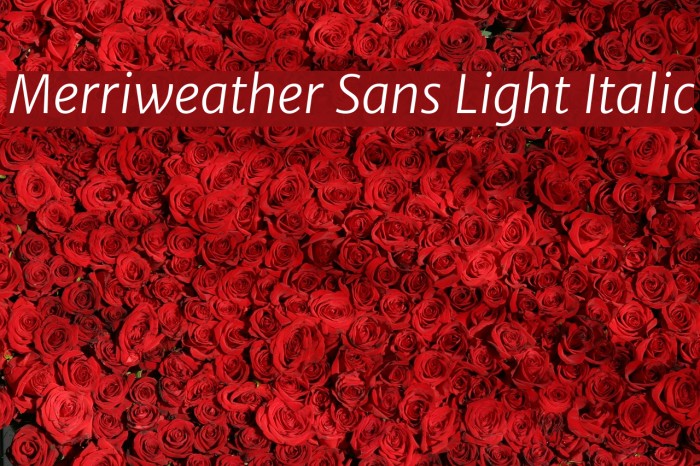 Merriweather Sans Light Italic Font examples