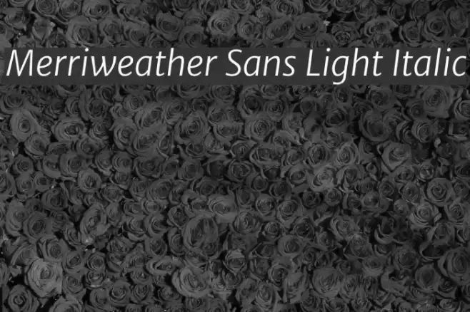 Merriweather Sans Light Italic Example 2