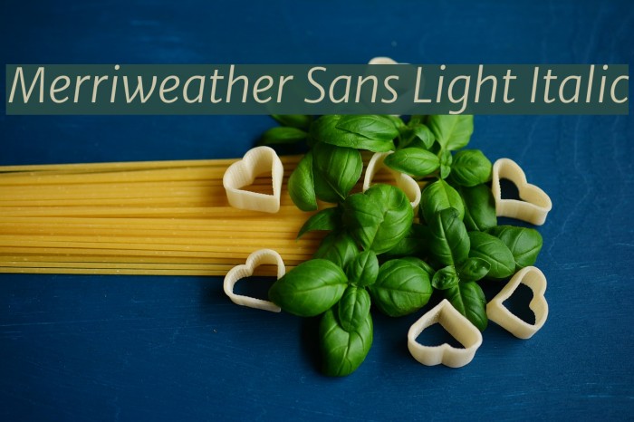 Merriweather Sans Light Italic Font examples