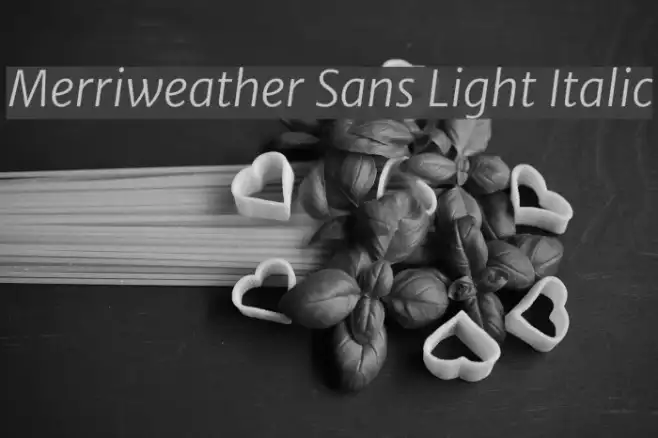 Merriweather Sans Light Italic Example 3