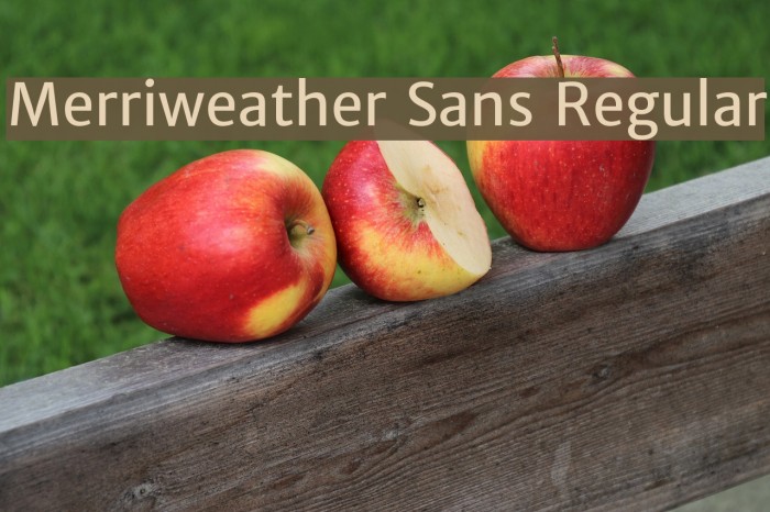 Merriweather Sans Regular Font examples