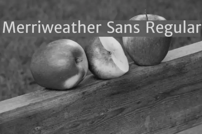 Merriweather Sans Regular Example 1