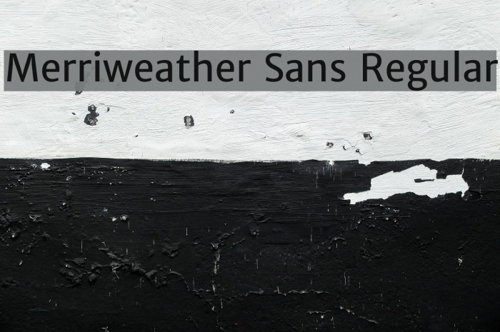 Merriweather Sans Regular Font examples