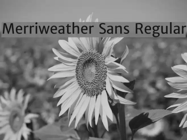 Merriweather Sans Regular Example 3