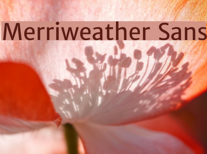 Merriweather Sans Font examples
