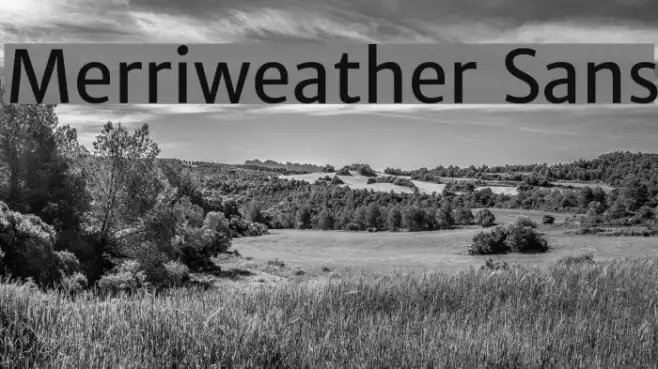 Merriweather Sans Example 2