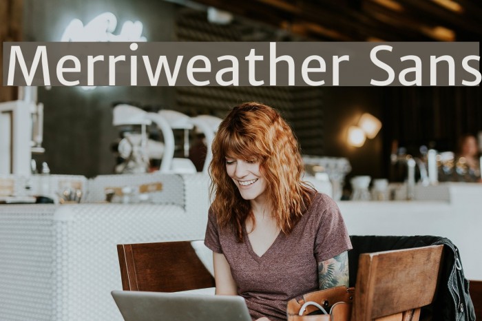Merriweather Sans Font examples