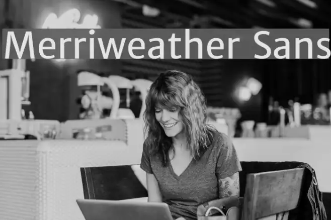 Merriweather Sans Example 3