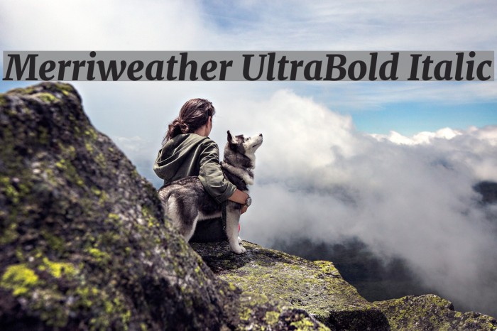 Merriweather UltraBold Italic Font examples