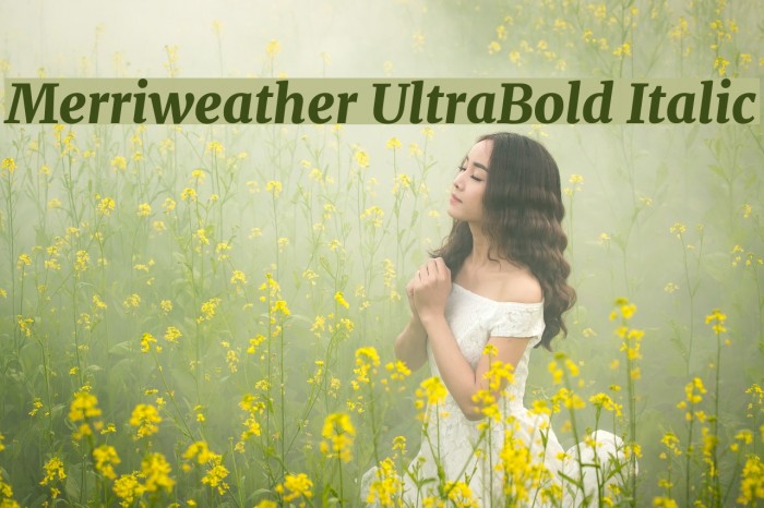 Merriweather UltraBold Italic Font examples