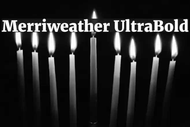 Merriweather UltraBold Font examples