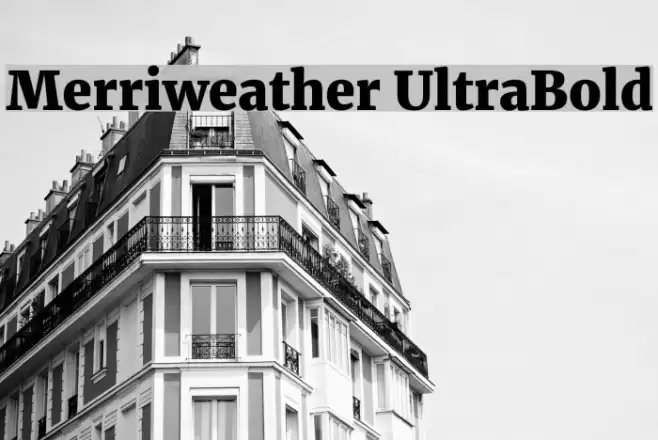 Merriweather UltraBold Font examples