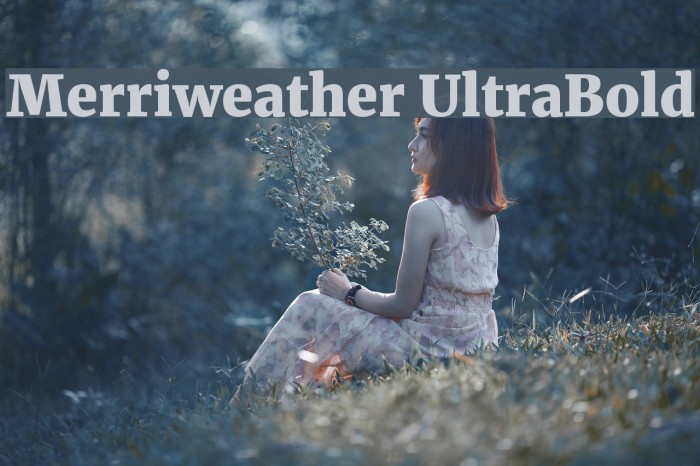 Merriweather UltraBold Шрифта examples