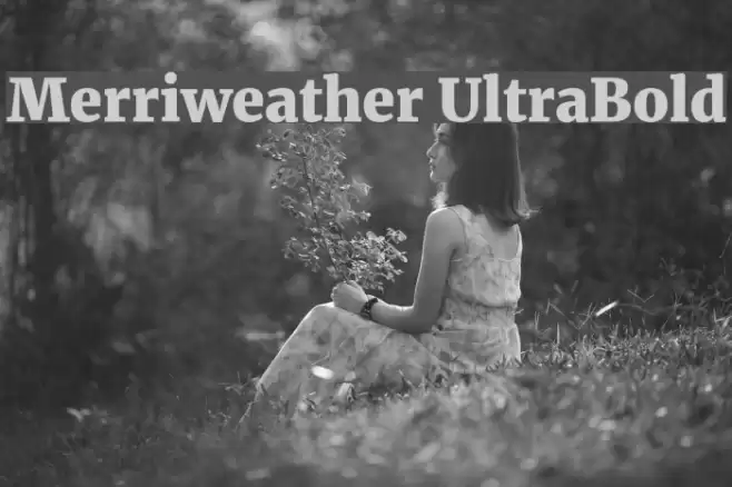 Merriweather UltraBold Font examples