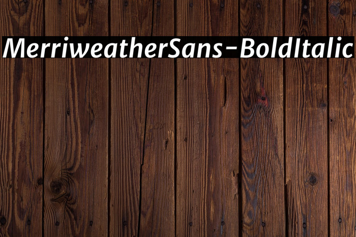 MerriweatherSans-BoldItalic Example 1