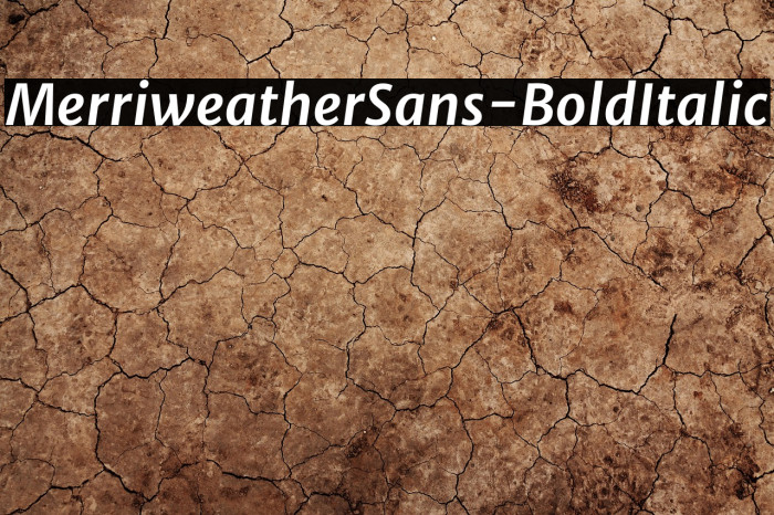 MerriweatherSans-BoldItalic Example 3