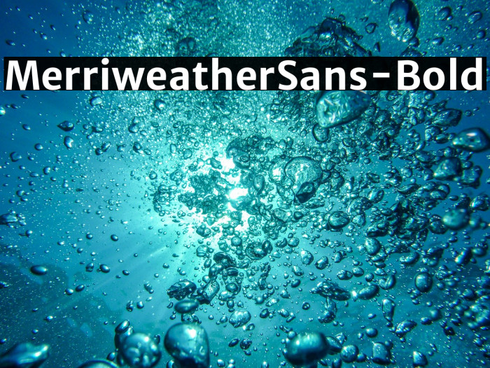 MerriweatherSans-Bold Example 1