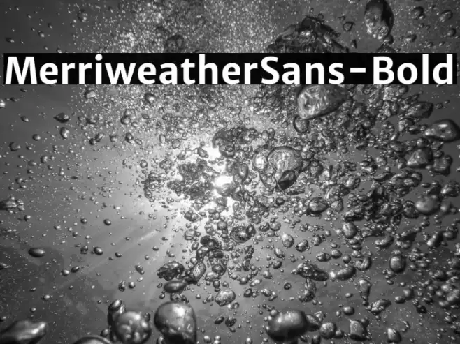 MerriweatherSans-Bold Example 1