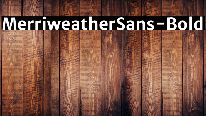 MerriweatherSans-Bold Example 3