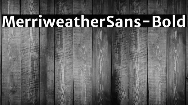 MerriweatherSans-Bold Example 3