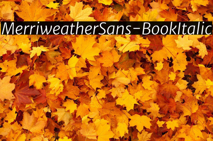 MerriweatherSans-BookItalic Example 1