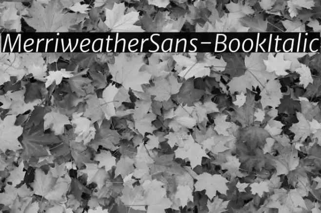 MerriweatherSans-BookItalic 字体 examples