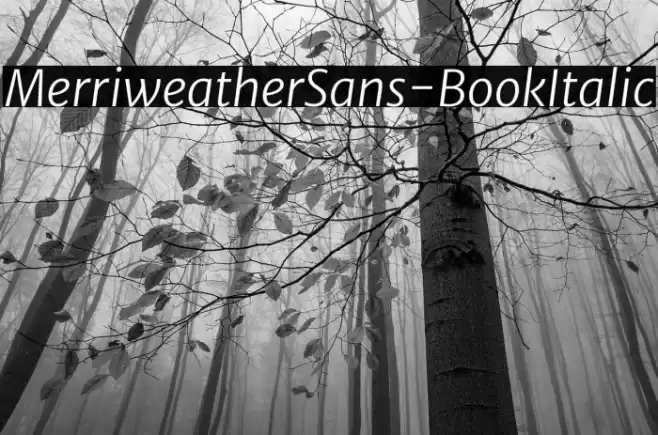 MerriweatherSans-BookItalic 字体 examples