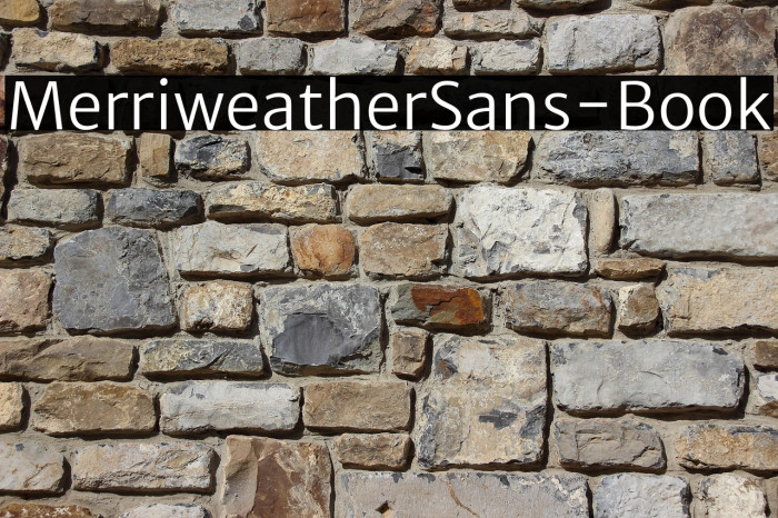 MerriweatherSans-Book Example 1