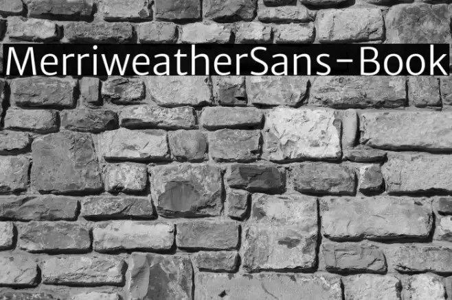 MerriweatherSans-Book Example 1