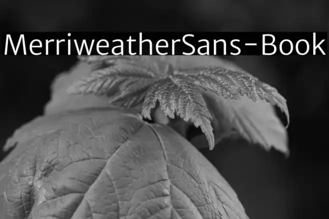 MerriweatherSans-Book Example 2