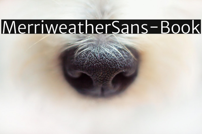 MerriweatherSans-Book Example 3
