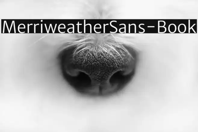 MerriweatherSans-Book Example 3