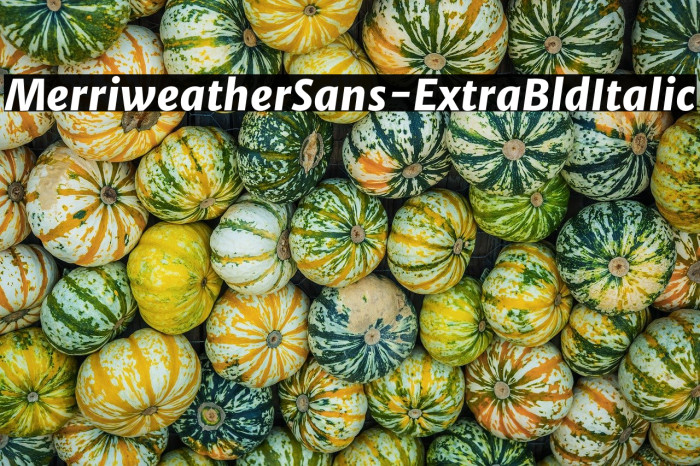 MerriweatherSans-ExtraBldItalic Example 1