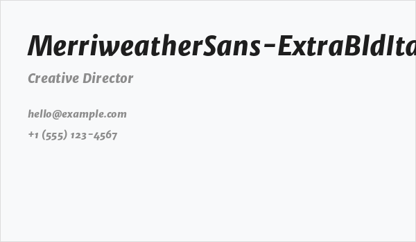 MerriweatherSans-ExtraBldItalic Business Card