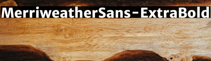 MerriweatherSans-ExtraBold Example 1