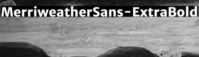MerriweatherSans-ExtraBold Font examples