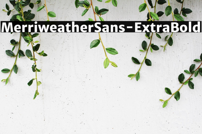 MerriweatherSans-ExtraBold Example 2