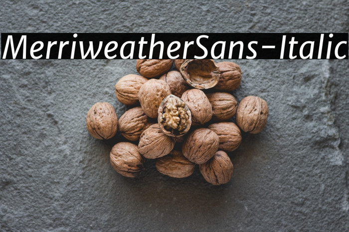 MerriweatherSans-Italic Example 1