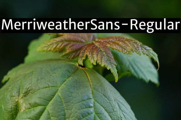 MerriweatherSans-Regular Example 1