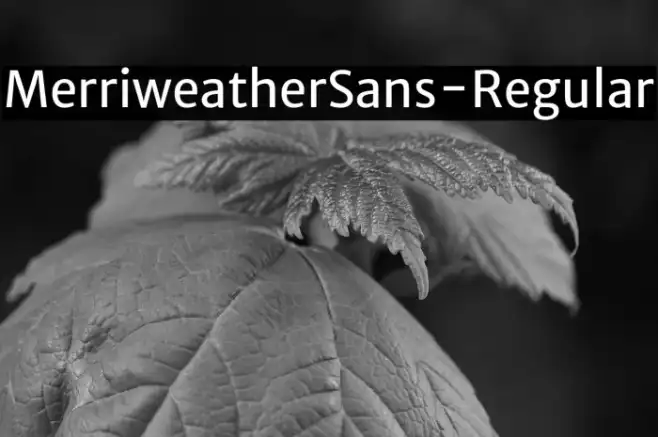 MerriweatherSans-Regular Example 1