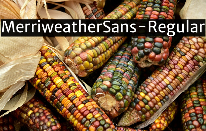MerriweatherSans-Regular Example 2