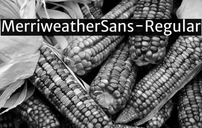 MerriweatherSans-Regular Example 2