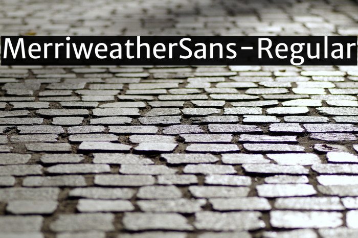 MerriweatherSans-Regular Example 3