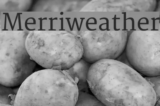 Merriweather Font examples